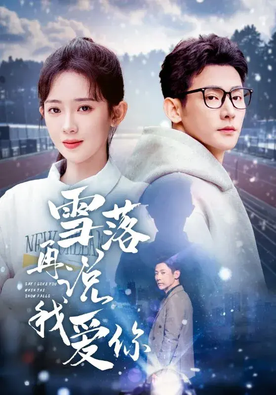 雪落再说我爱你0