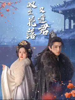 双生花落又逢君0