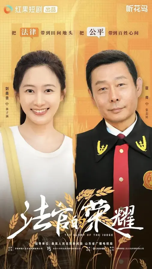 法官的荣耀0
