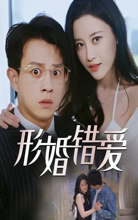 形婚错爱0