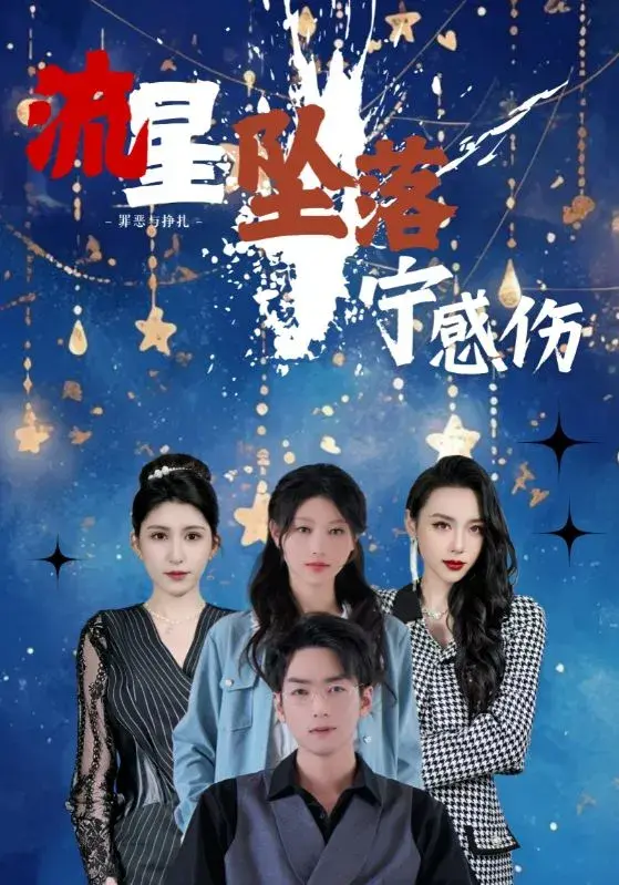 流星坠落宁感伤0
