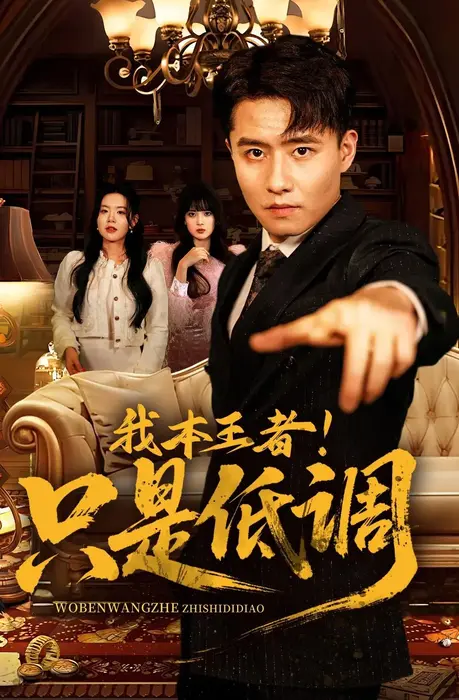 我本王者只是低调0