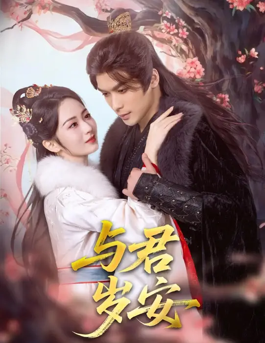 与君岁安0