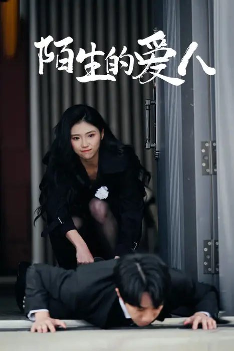 陌生的爱人0